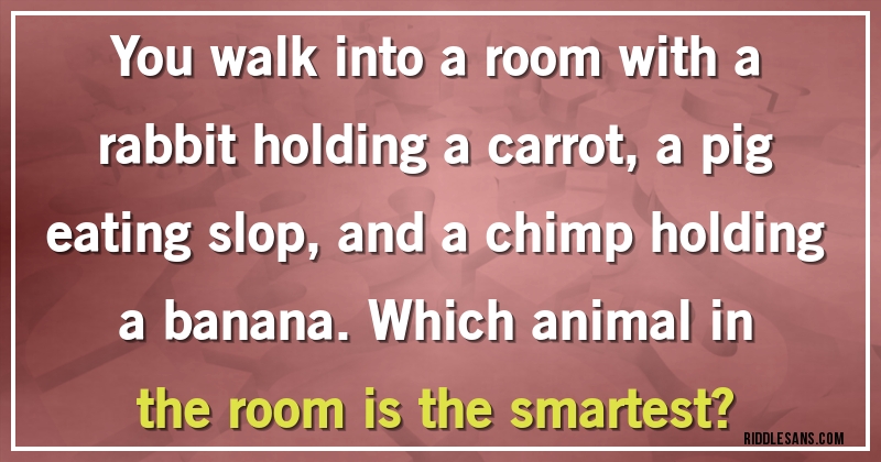 You walk into a room with a rabbit holding a carrot, a pig eating slop, and a chimp holding a banana.Which animal in the room is the smartest?